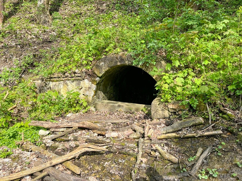 studánka Na Hrádku (15184)