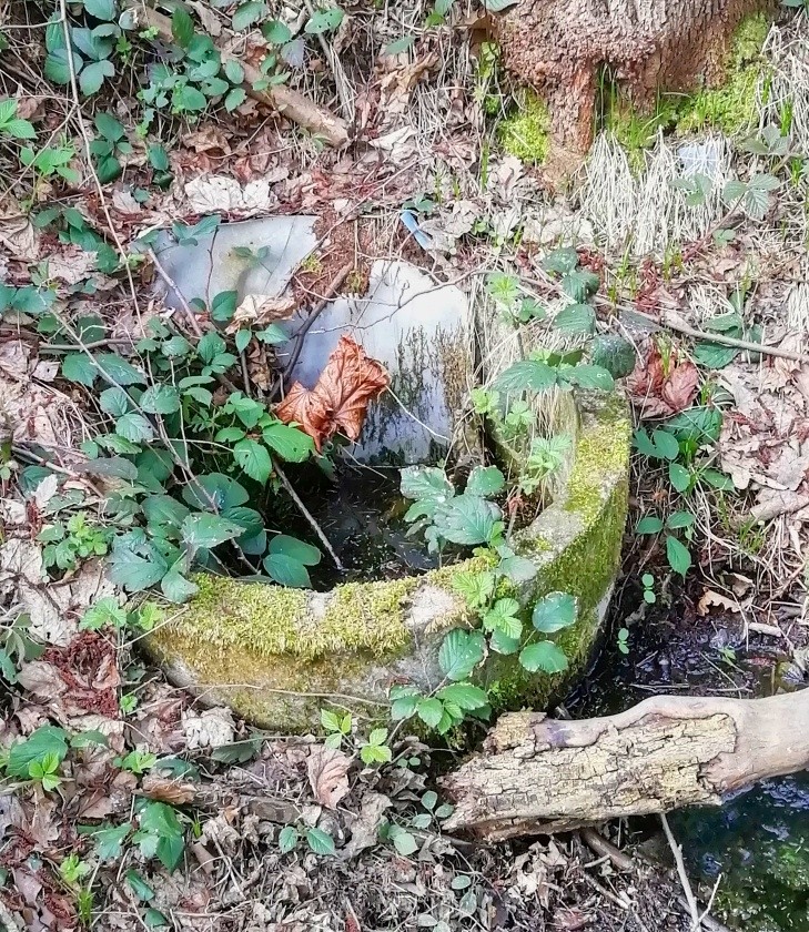 studánka bez jména (15187)