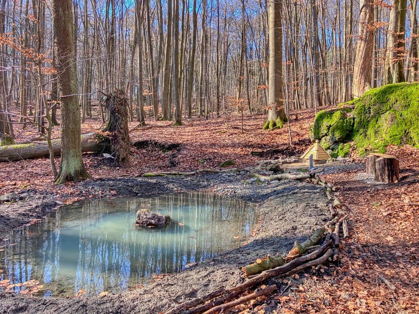 studánka Pod Mechovým kamenem (15189)