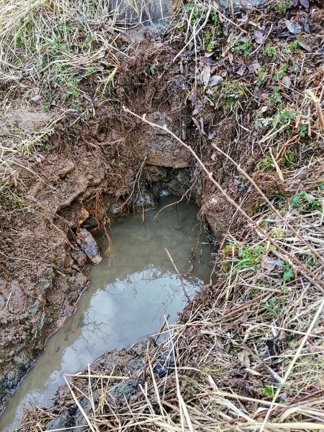 studánka Ve Skalkách (15191)