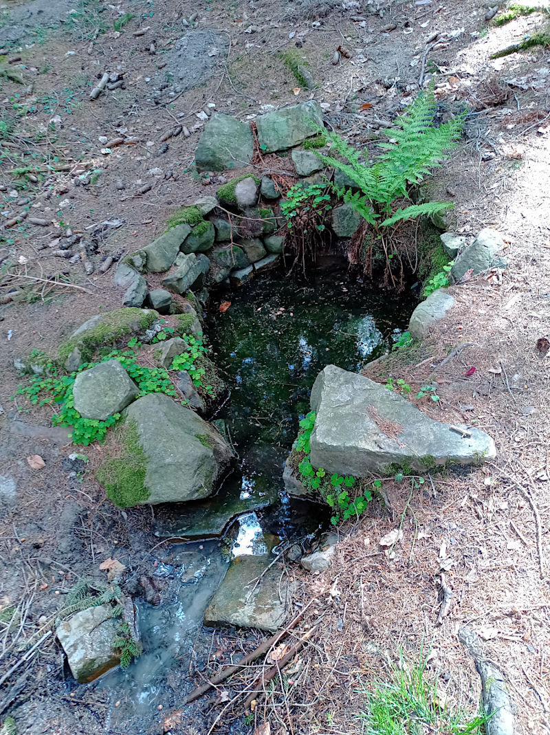 Jechova studánka (15199)