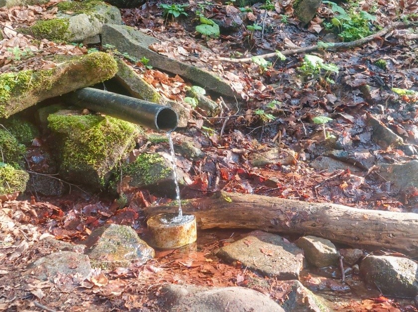 studánka bez jména (15202)
