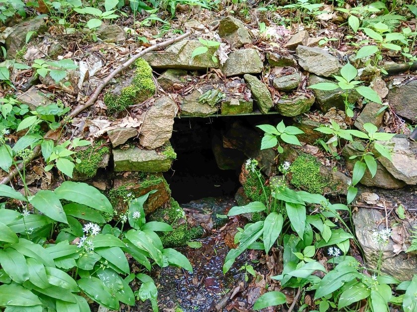 studánka bez jména (15204)