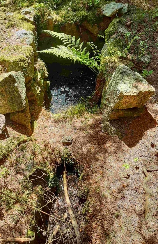 Bublavá studánka  (15210)