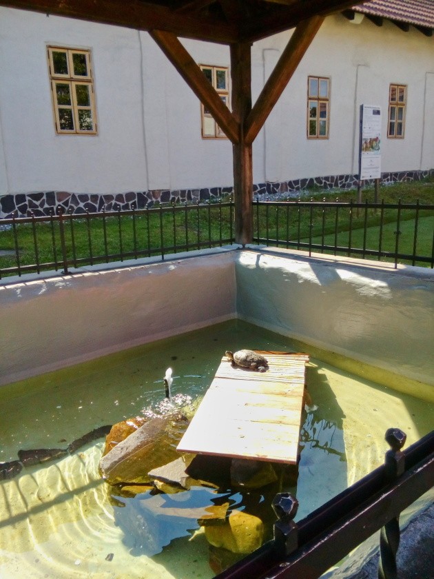 studna Hradní (15220)