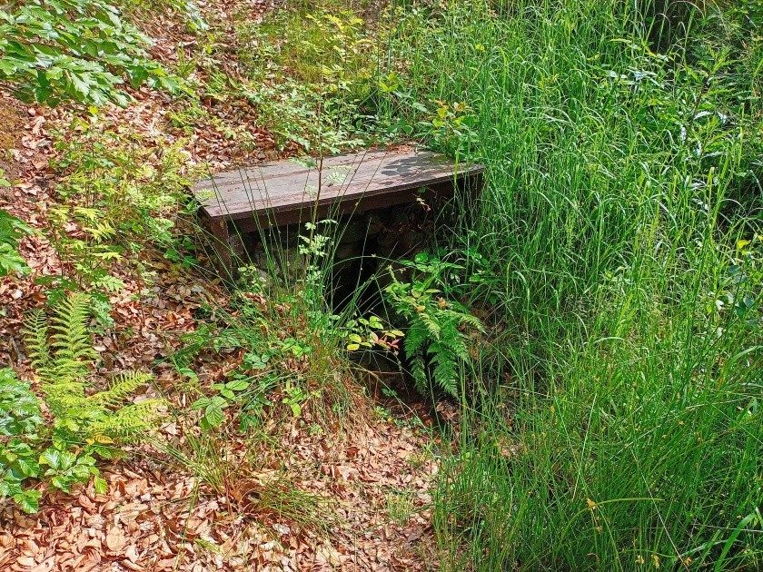 studánka Pod Vrátenkou (15223)