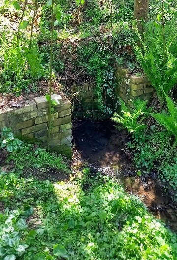 studánka Záběhlice - zahrádky (15224)