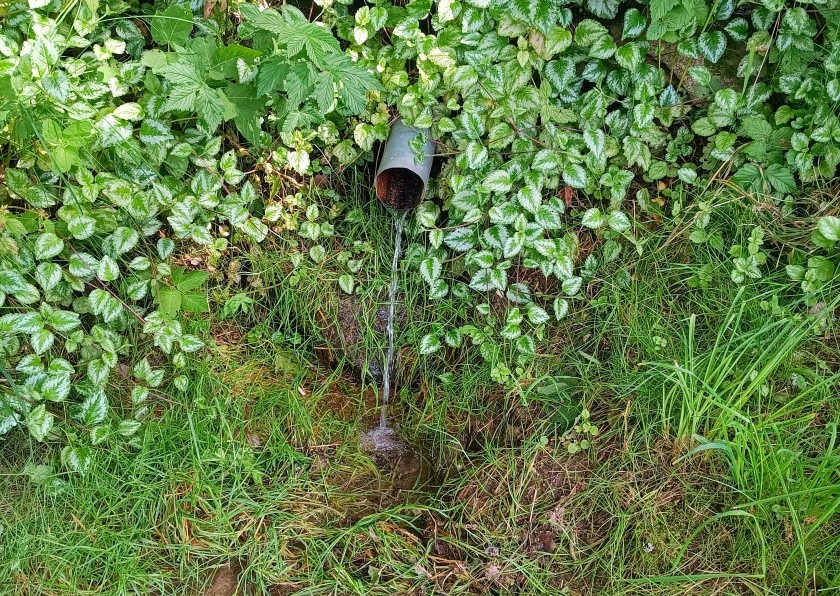 studánka Klášterská (15238)