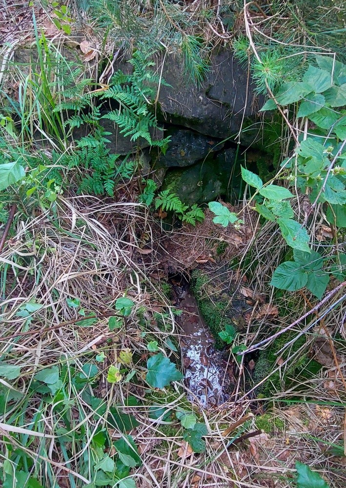 studánka Lesácká (15242)