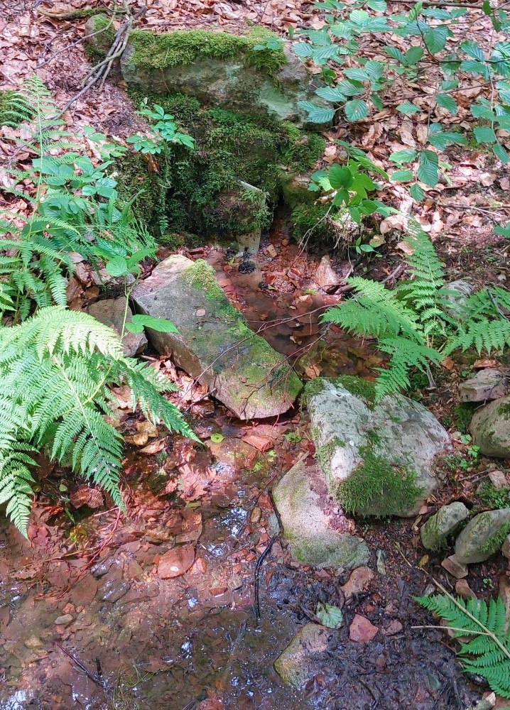 studánka Osada starých supů 1 (15244)