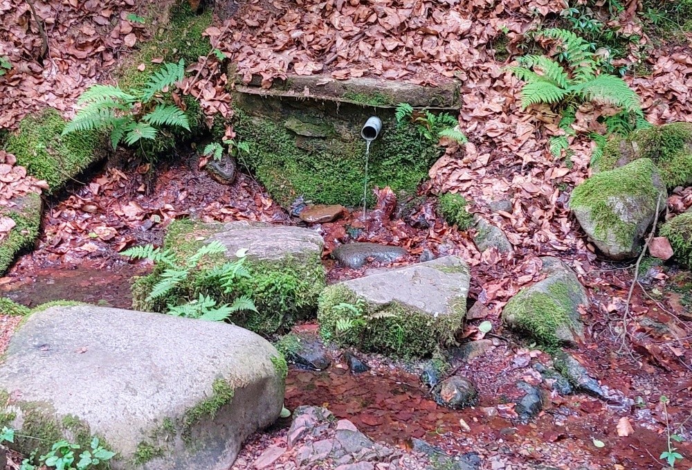 studánka Osada starých supů 2 (15245)
