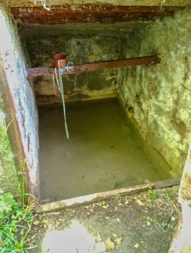 studánka Pod Chrastínem (15259)