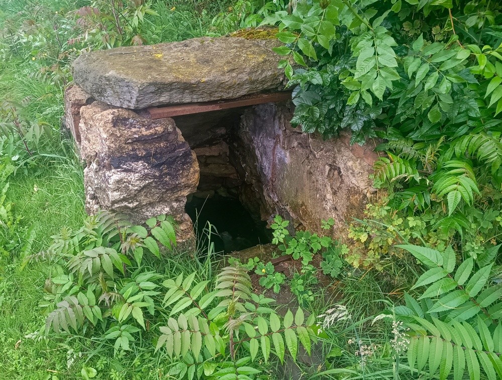 studánka V Třemešné (15264)