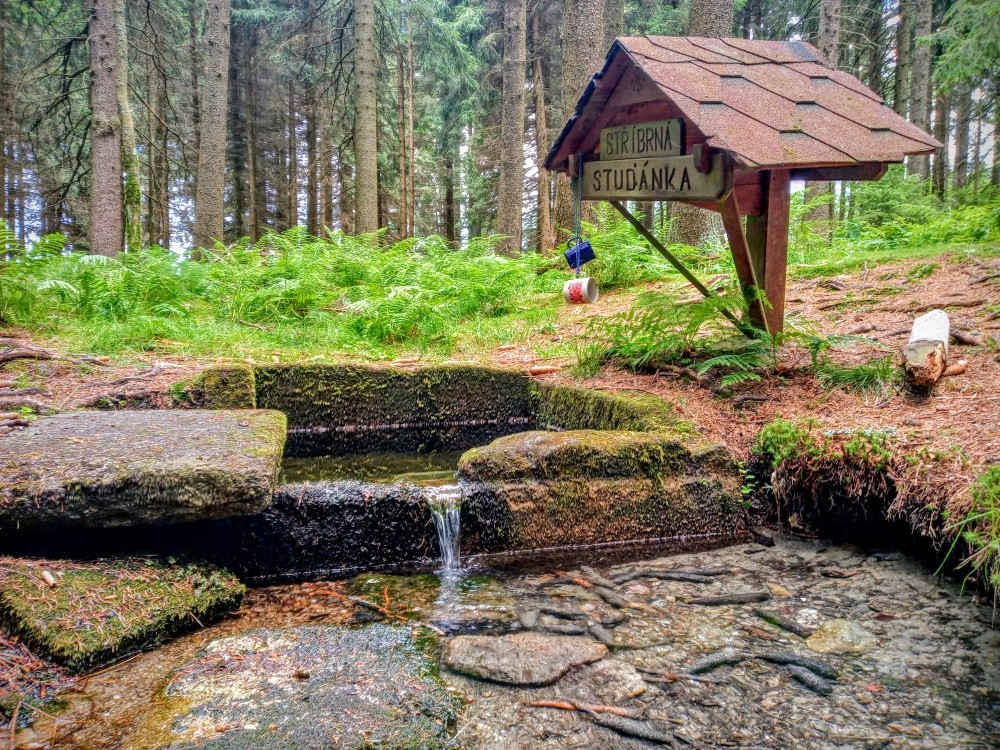 Stříbrná studánka (15274)