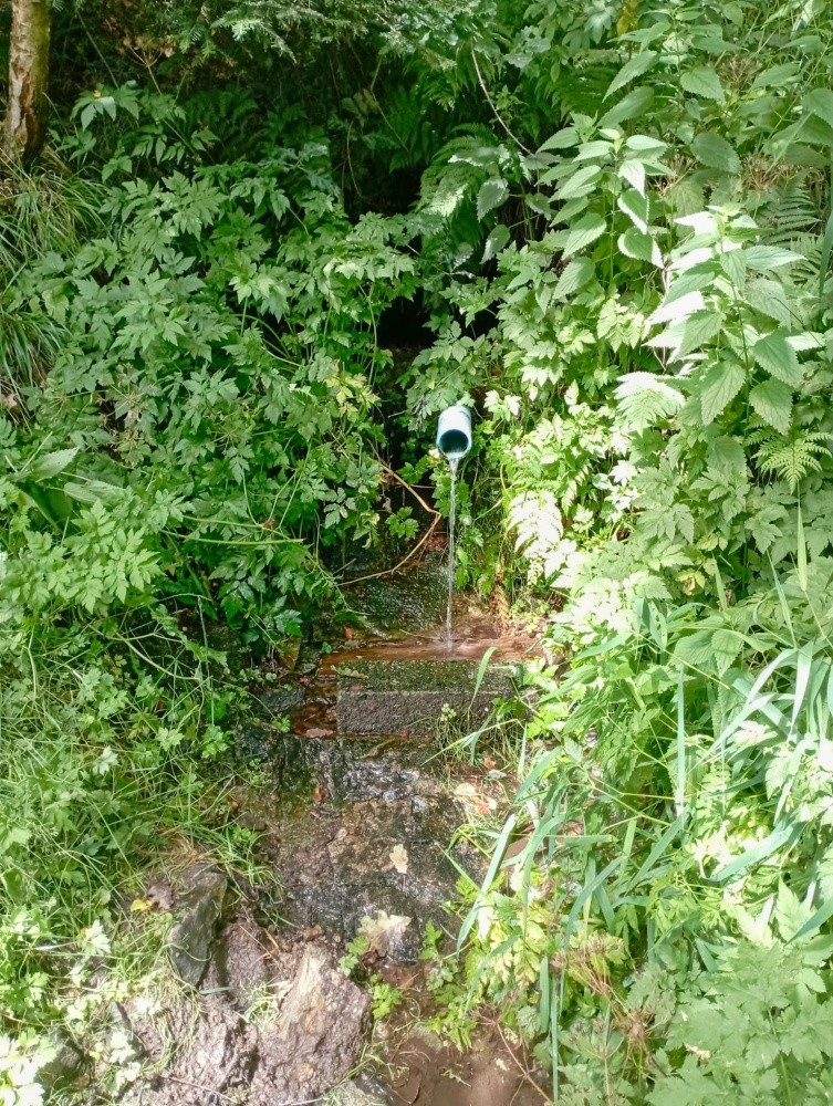 Studánka Amálka  (15276)