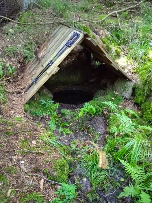 studánka Medvědova (15291)