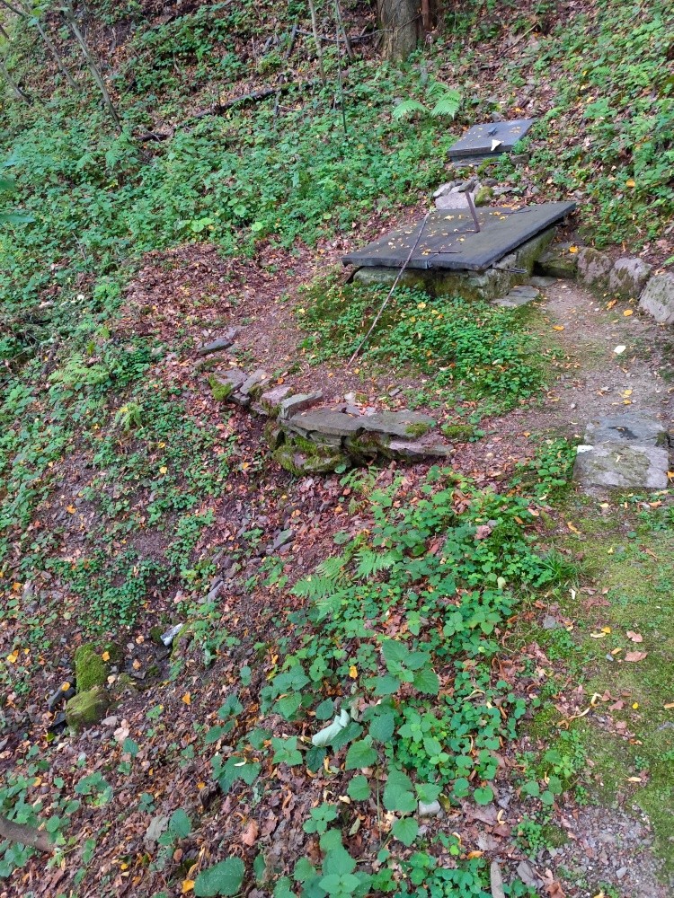 prameniště U Vojkovského  (15297)