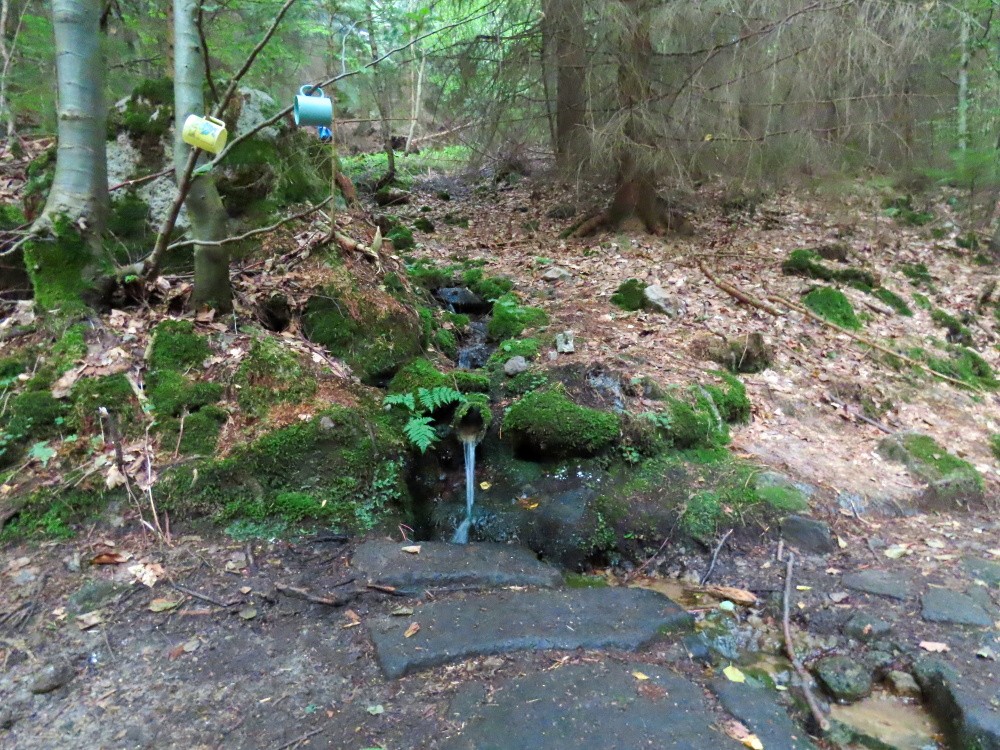 studánka Pod Šefelem (15303)