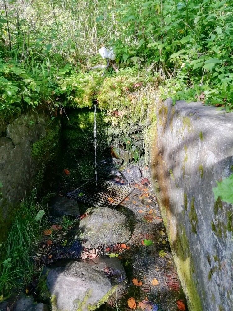studánka bez jména (15304)