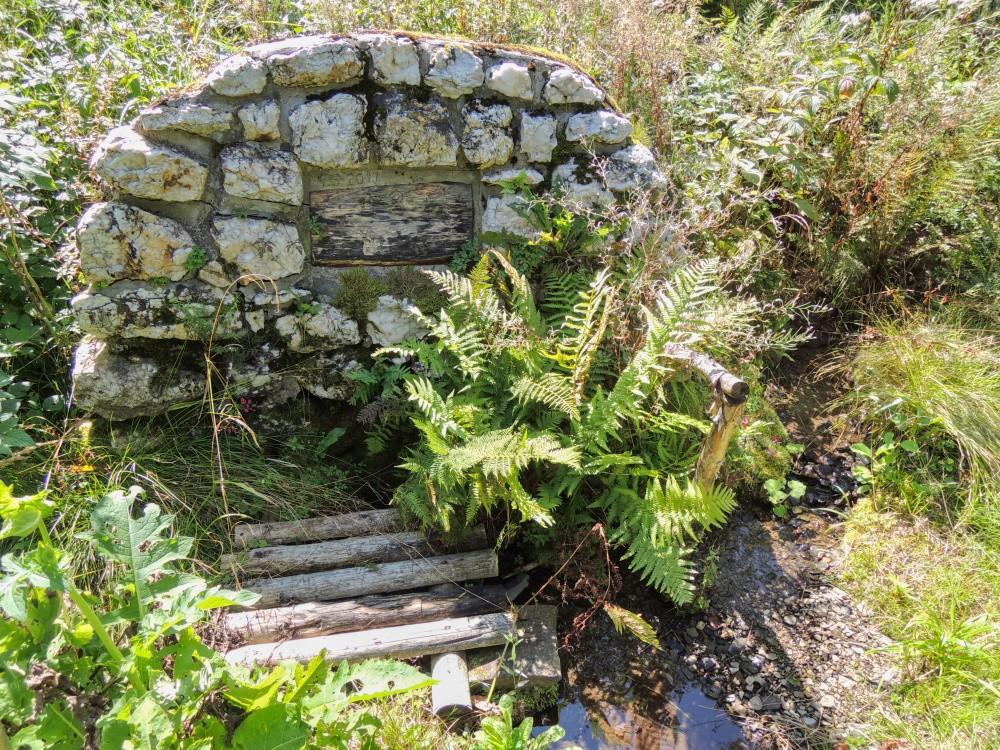 studánka U tří dubů (15305)