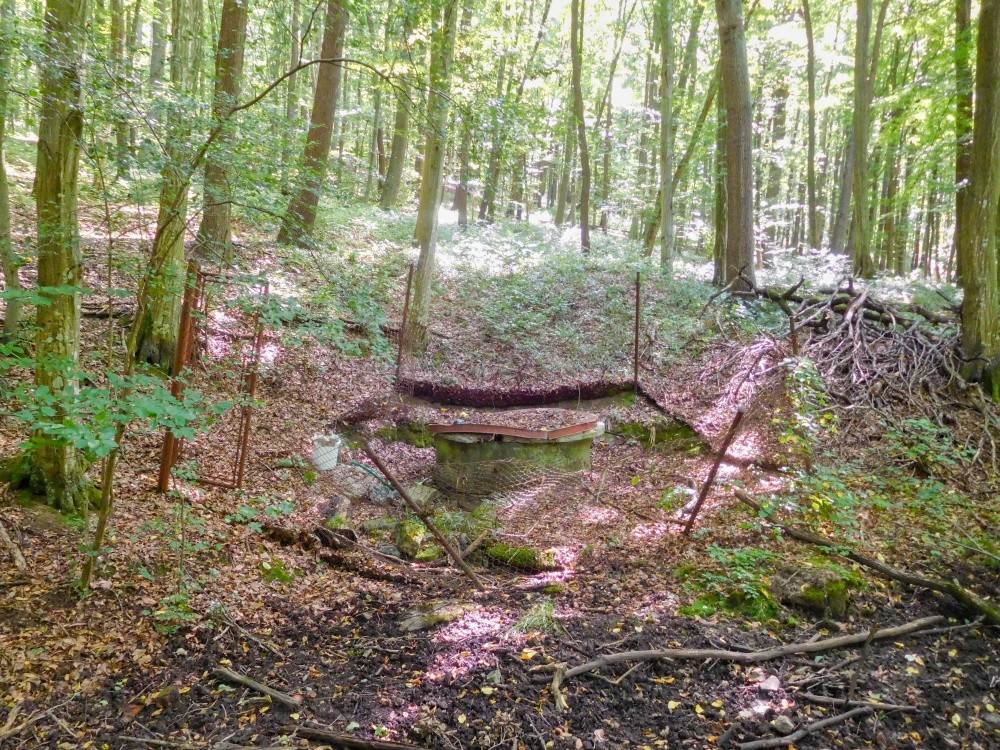 studánka U Truhly (15306)