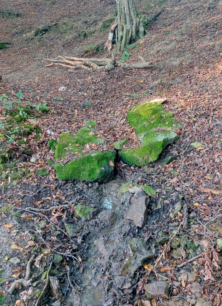 Šupácká studánka (15316)