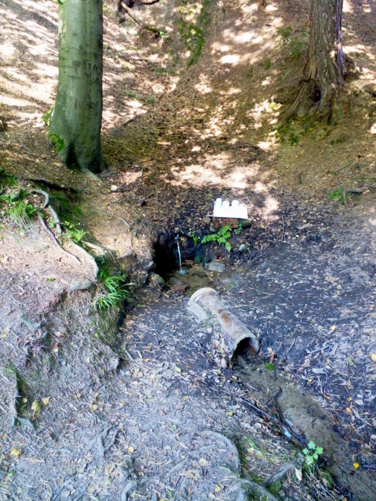 studánka bez jména (15318)