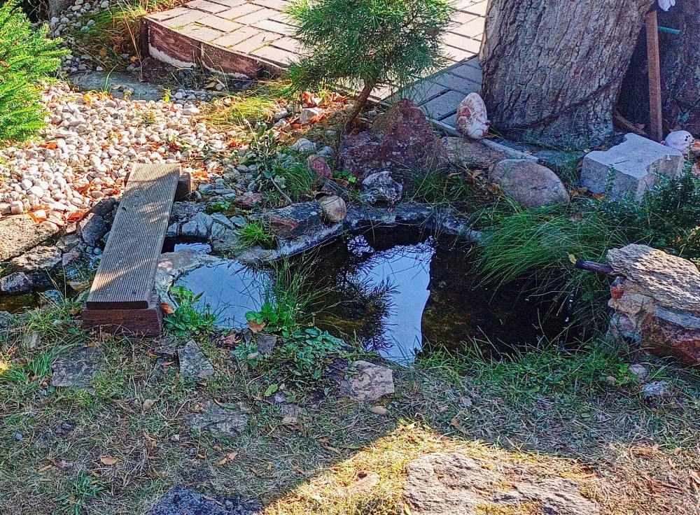 studánka bez jména (15322)