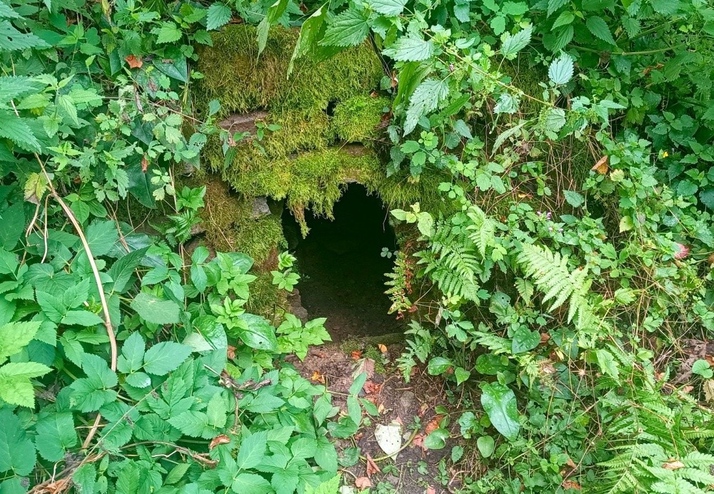 studánka Frejštejnská (15325)