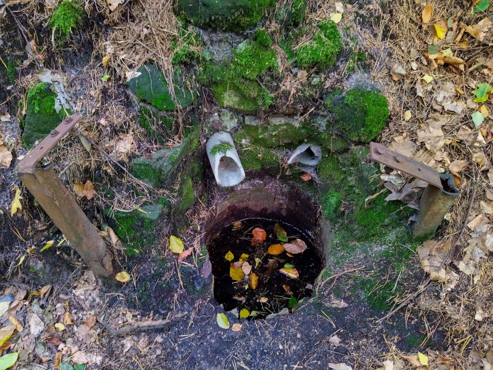 studánka bez jména (15331)