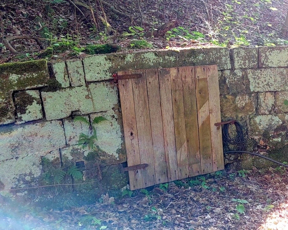 studánka Janov Pastis (15332)