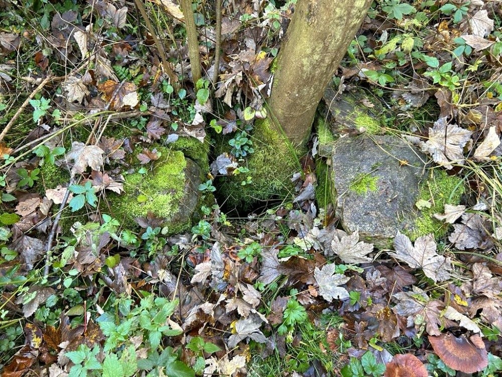 Javorová studánka (15337)