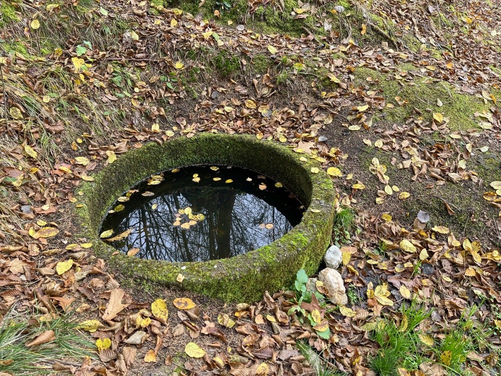 studánka bez jména (15339)
