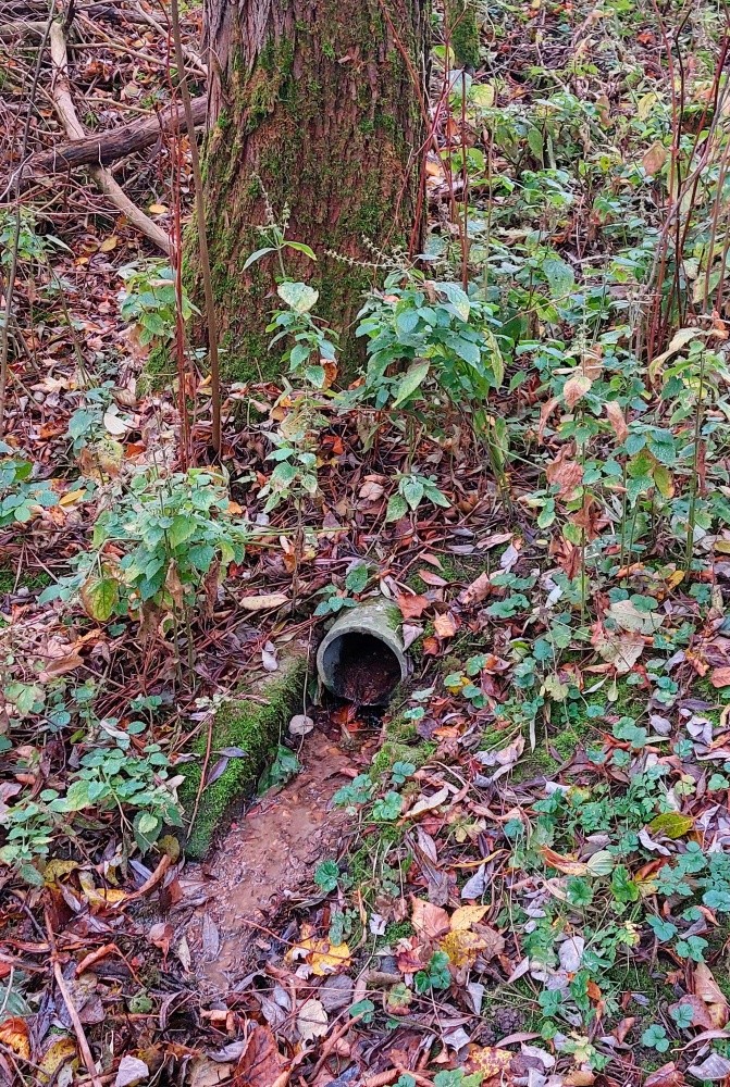 studánka Nad hřištěm (15342)