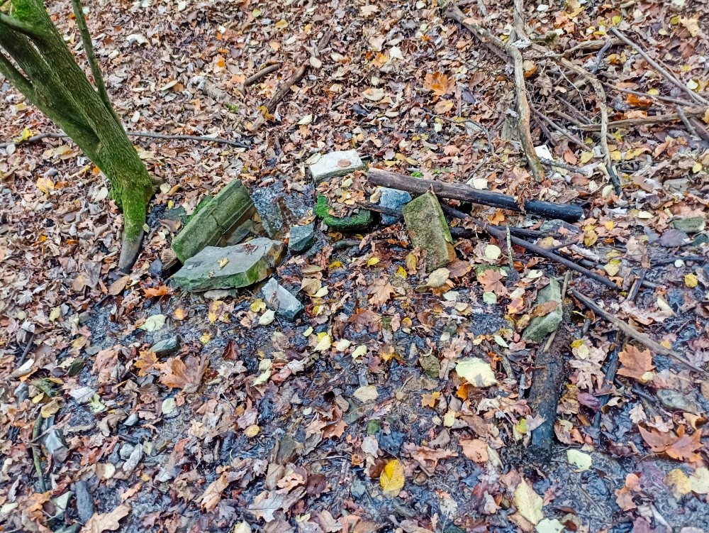 studánka V Zámecké Rokli  (15345)