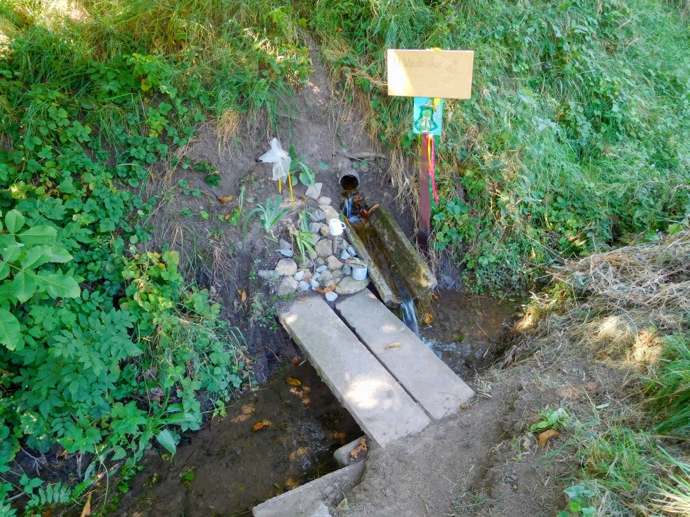 studánka U Vodníka (15348)