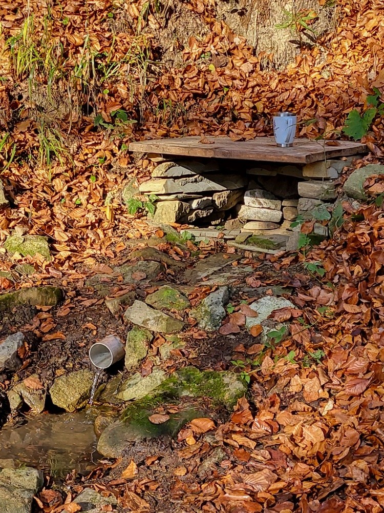 Československá studánka  (15351)