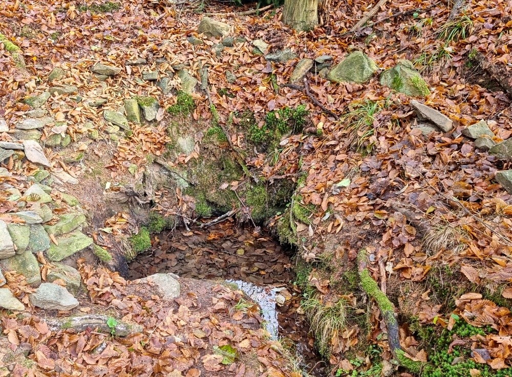 studánka bez jména (15355)