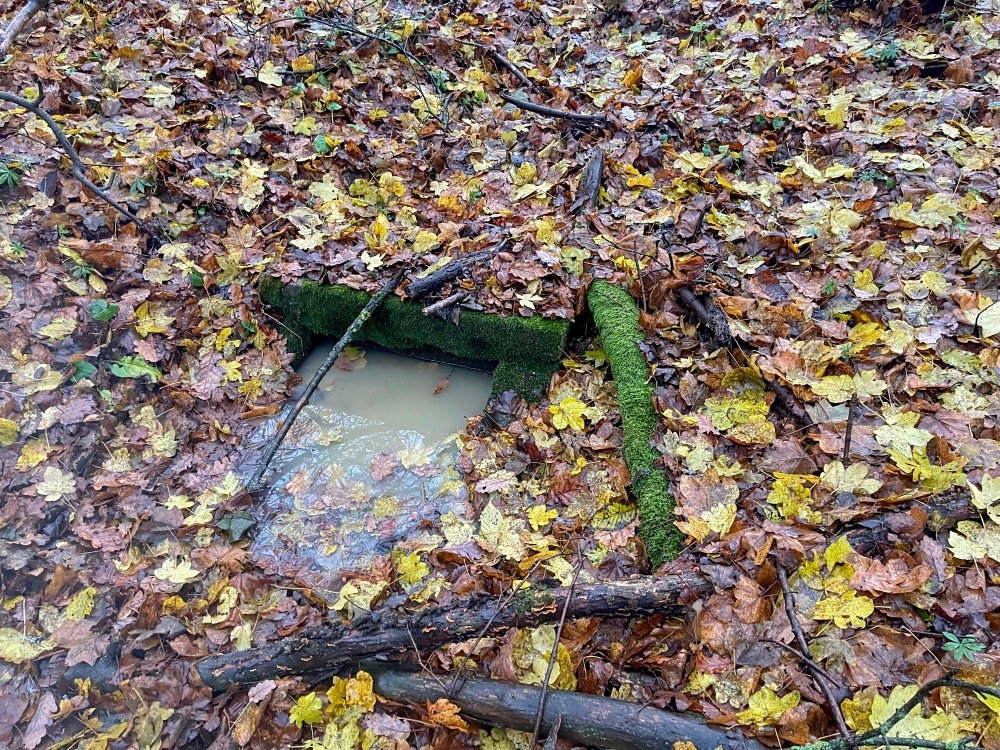 studánka bez jména (15356)