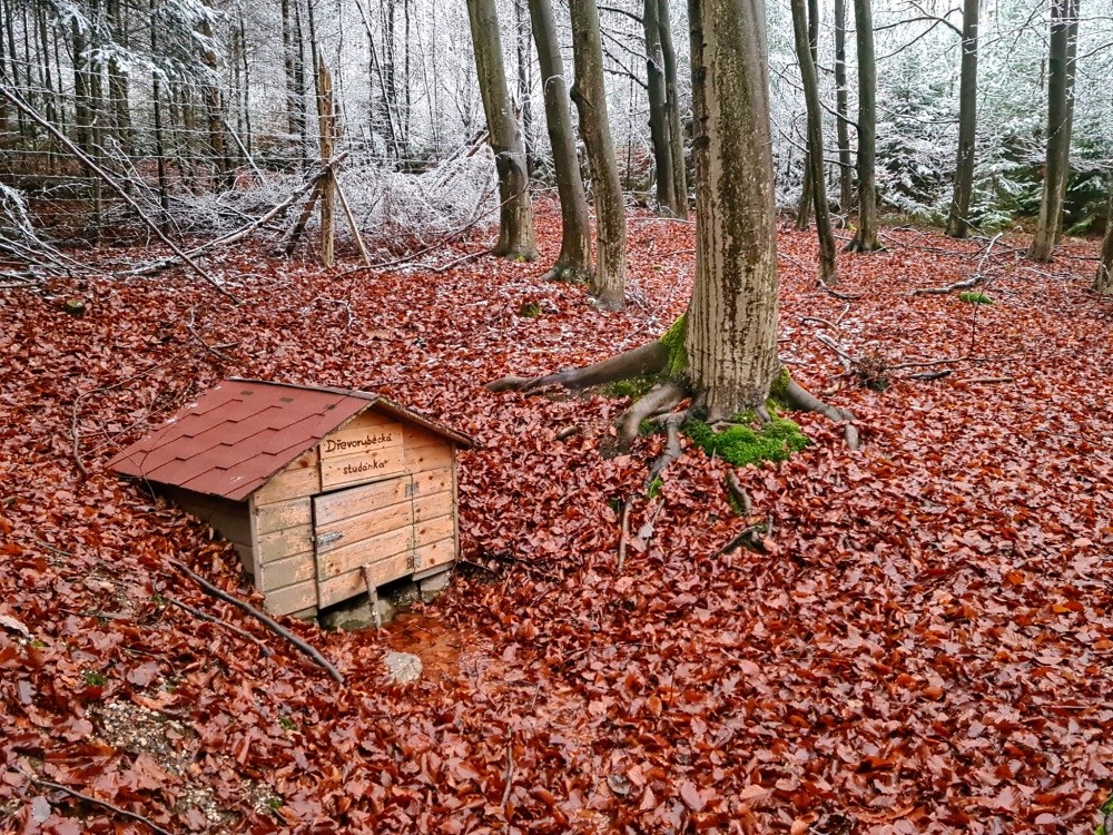 Dřevorubecká studánka (15359)