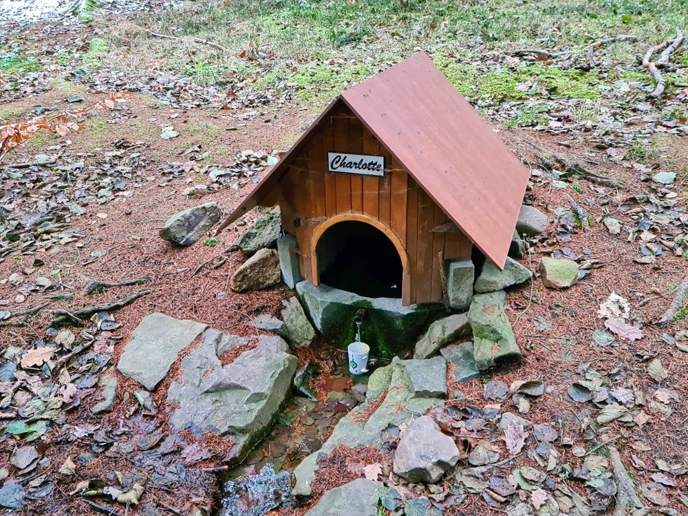 studánka Charlotte (15360)