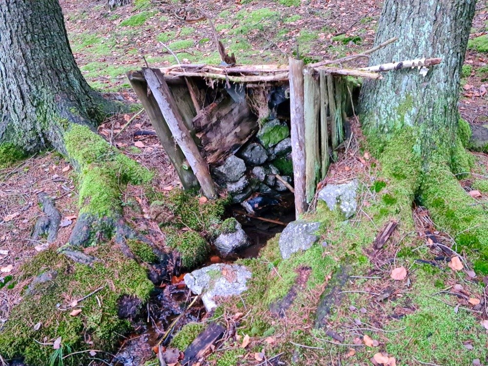 studánka Pod Vysokými lávkami (15361)