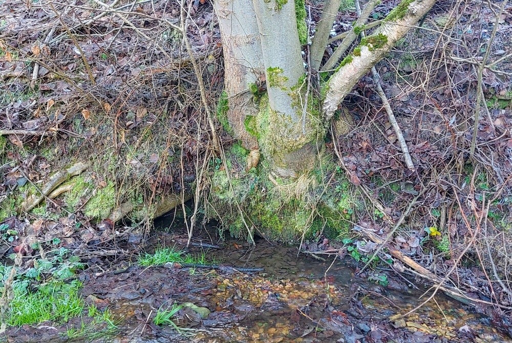 pramen Nad hřbitovem (15366)