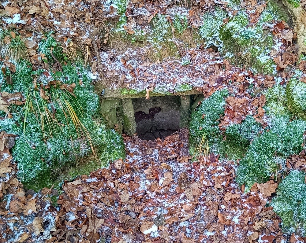 studánka Pod Liboušem (15369)