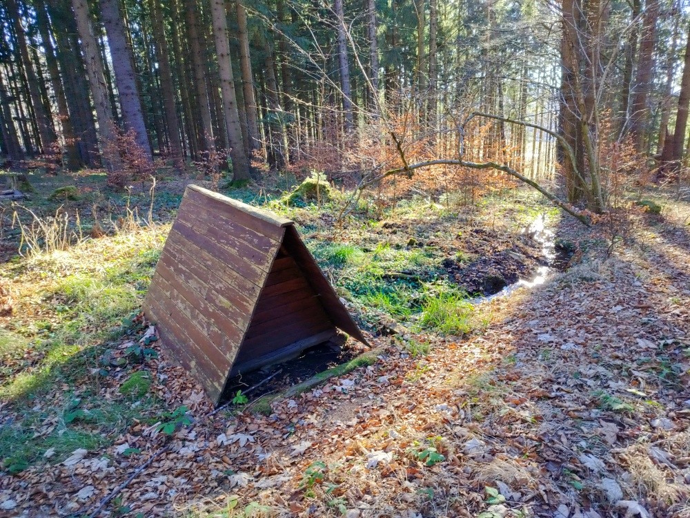 studánka Mášovna (15371)