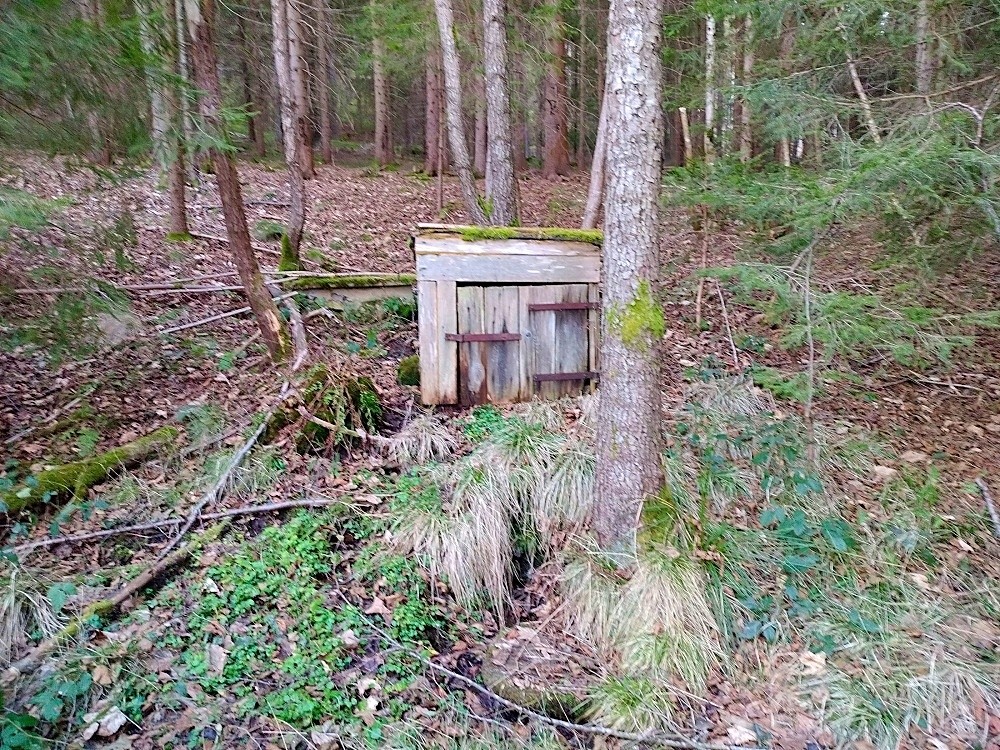 studánka Pod Zaječím vrchem (15373)