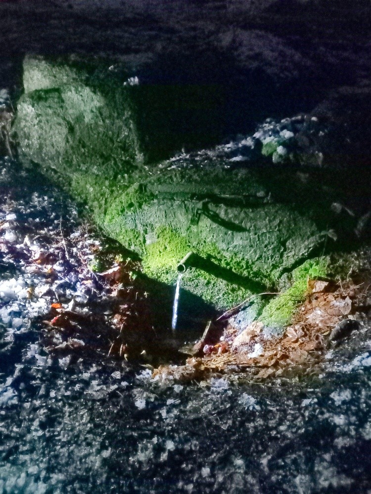 studánka bez jména (15375)