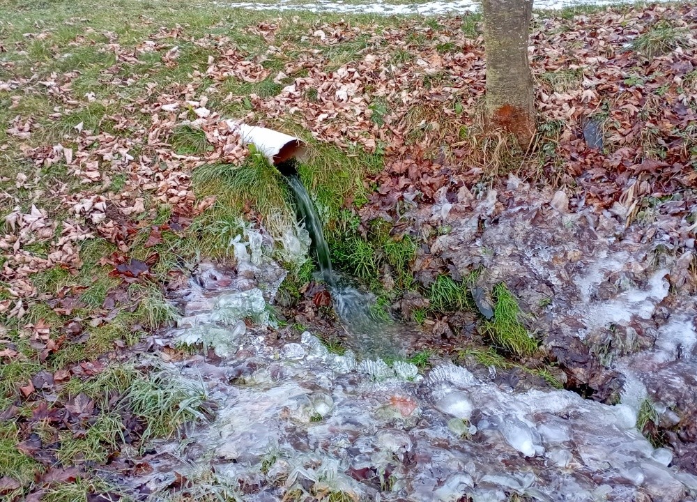 studánka bez jména (15379)