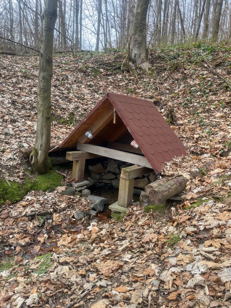 studánka bez jména (15384)