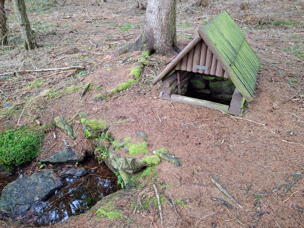 studánka bez jména (15386)